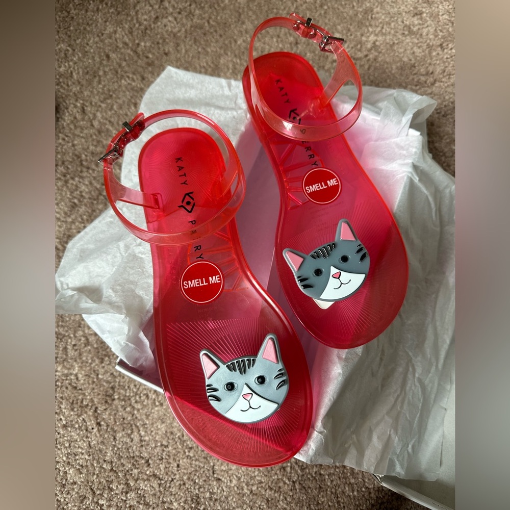 Brand New in Box Never Worn Katy Perry Cat Jelly Sandals